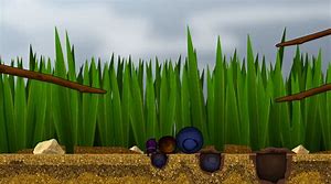 Image result for images dung beetle derby